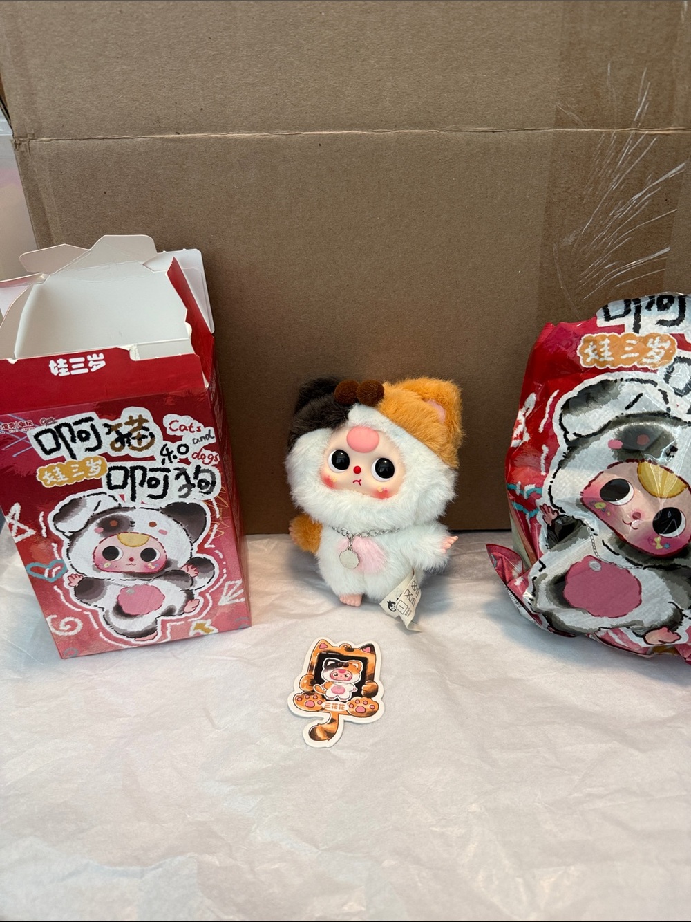 Baby Three Cats And Dogs Confirmed Calico Cat